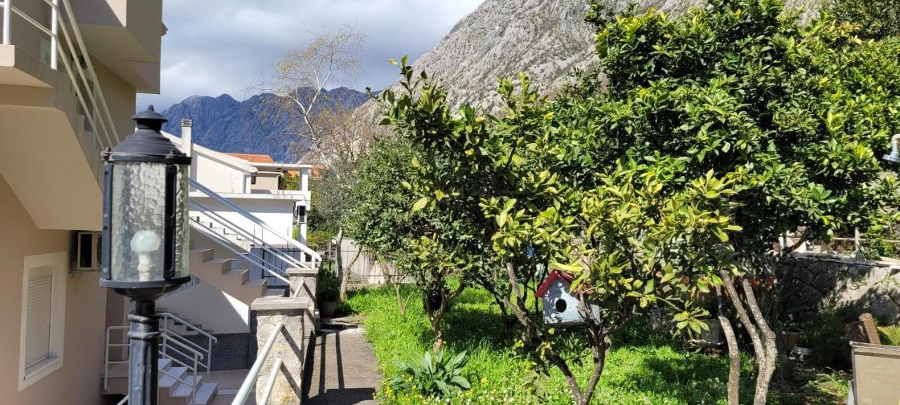 Majka Apartments Kotor Zewnętrze zdjęcie